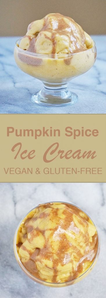 Pumpkin Spice Ice Cream 365x1024 - Pumpkin Spice Ice Cream (Vegan & Gluten-Free)