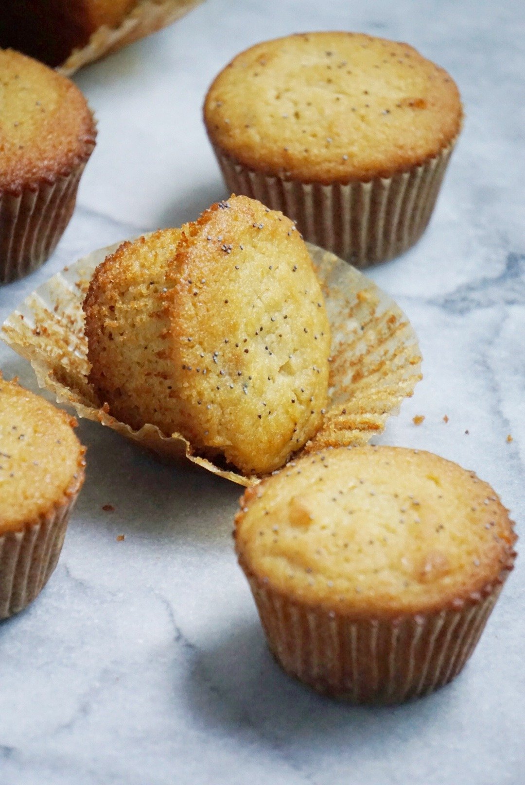paleo lemon poppyseed muffins6 - Home